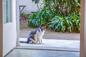 Lovely Frame in Naples