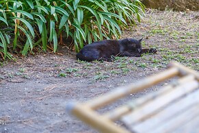 Lovely Frame in Naples