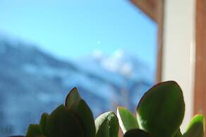 Cozy Chalet With Amazing Mountain Views Ski-in, Ski-out, Trailheads