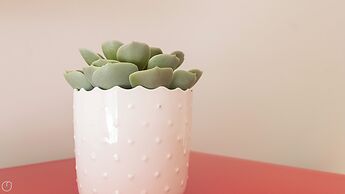 Italianway - Stradivari 4