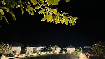 Leopard Valley Ranthambhore