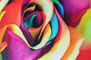 Rose Apartment in Kołobrzeg by Renters