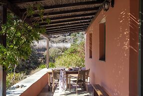 Under the Linden Tree Tinos