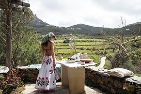 Under the Linden Tree Tinos