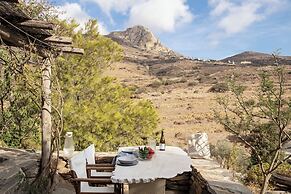 Under the Linden Tree Tinos