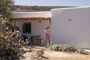Under the Linden Tree Tinos