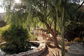 Under the Linden Tree Tinos