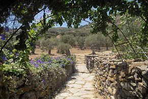 Under the Linden Tree Tinos