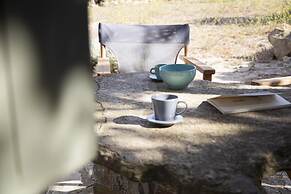 Under the Linden Tree Tinos