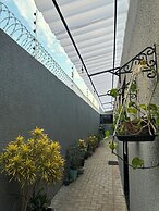 Flat Davisis - Parada do Jalapão