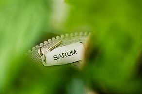 Stonehenge Courtyard