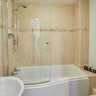 Host Stay Rock Pipit