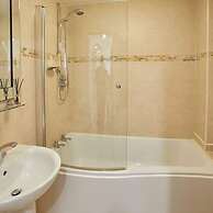 Host Stay Rock Pipit