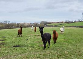 Host Stay Lowcross Cottage