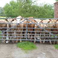 Host Stay Great Habton Cottage