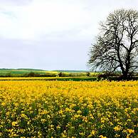 Host Stay Great Habton Cottage