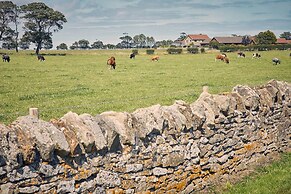 Host Stay Cheviot View