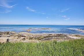 Host Stay The Puffins Nest