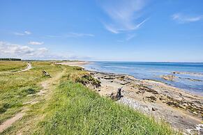 Host Stay The Puffins Nest