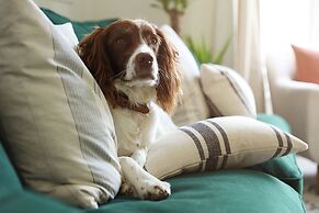 Host Stay Sussex Place