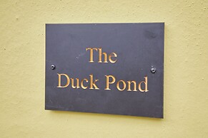 Host Stay The Duck Pond