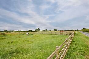 Host Stay Dove Cottage