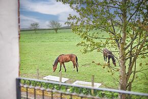 Host Stay The Paddock