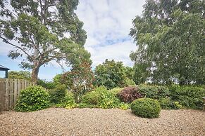 Host Stay Sandpipers