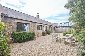 Host Stay Sandpipers