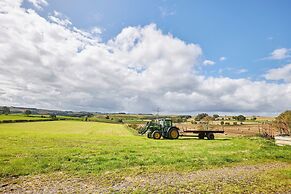 Host Stay The Stable