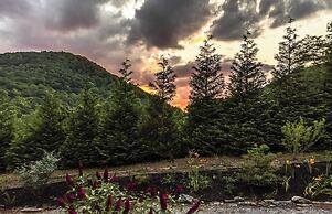 Hickory Nut Hideaway by Avantstay Mountain Views