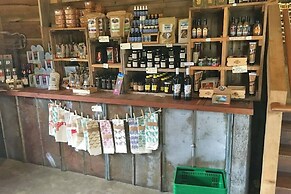 Asheville Cottage Retreat by Avantstay A+ Charm