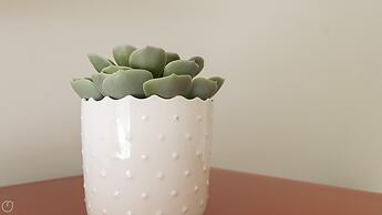 Italianway - Stradivari 4