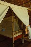 Isla - The Isla Experience