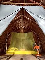 Isla - The Isla Experience