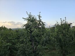 Teona Kartepe Bungalov