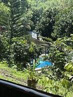 The Twin Studio Cottages