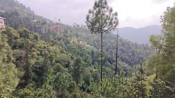 Goroomgo Sukh Dham Homestay Shimla