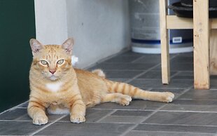 Room-baan Khunphiphit Homestay No2229