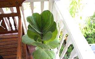 Room-baan Khunphiphit Homestay