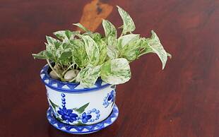 Room-baan Khunphiphit Homestay No2322