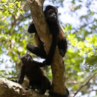 Les Voiles Blanches Tamarindo