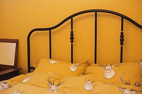 Orange County Guest House - Hostel