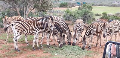 VALLEY BUSHVELD COUNTRY LODGE