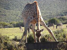 VALLEY BUSHVELD COUNTRY LODGE