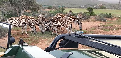 VALLEY BUSHVELD COUNTRY LODGE
