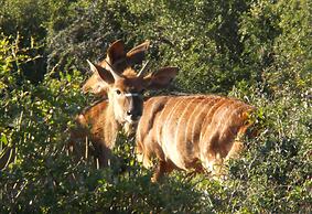 VALLEY BUSHVELD COUNTRY LODGE
