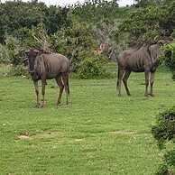 VALLEY BUSHVELD COUNTRY LODGE