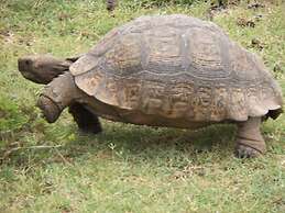 VALLEY BUSHVELD COUNTRY LODGE