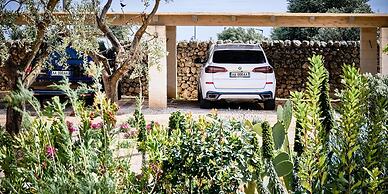 Bambarone La Masseria